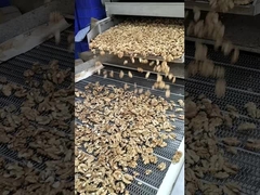 Die Magie der Walnüsse - Walnüsse für natürliche Heilmittel und gute Gesundheit