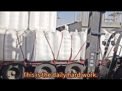 Was ist besser, Sonnenblumen oder Kürbis?