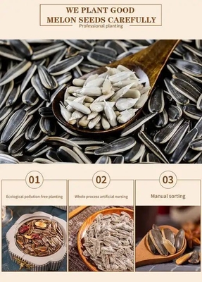 kaufen China Fabrikprozess Fünf duftende Gewürze gekocht gesalzen geröstet Sonnenblumenkerne online manufacture