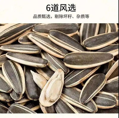 kaufen Chinesisches Neujahrsfest Großhandel Kokosnuss Aromatisierte geröstete Sonnenblumenkerne online manufacture