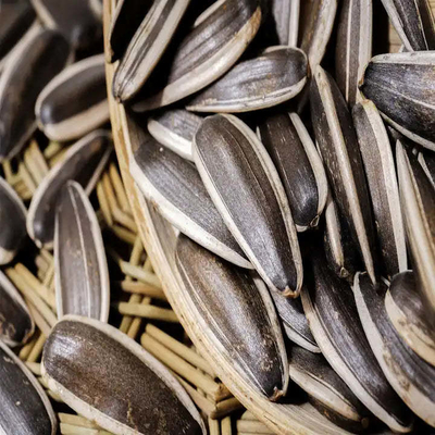 kaufen Golden Kernel Harvest Die B2B-Harvesting-Lösung für garantierte Zufriedenheit online manufacture