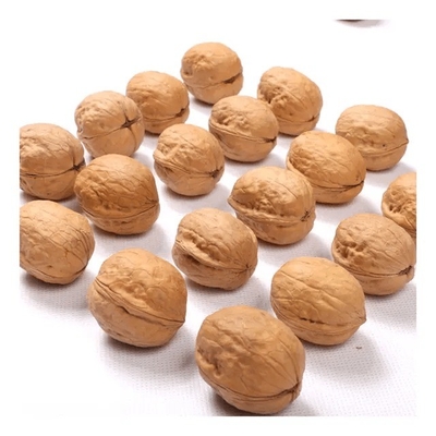 kaufen Hersteller Großhandel Xinjiang 185 Walnüsse in Schale und xin2/33 Walnüsse online manufacture