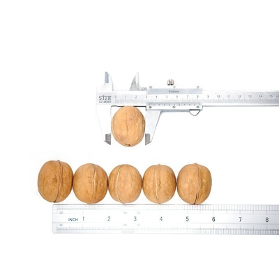kaufen Amazon Hot Sale Hochwertigster Bestpreis Großhandel Fabrik xinjiang Dünne Haut 185 Walnuss 32mm+ online manufacture