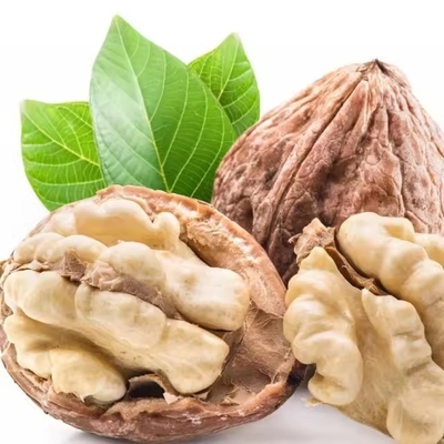 kaufen Steigern Sie Ihr B2B-Geschäft mit Walnut Kernel 33 von vertrauenswürdigen Lieferanten online manufacture