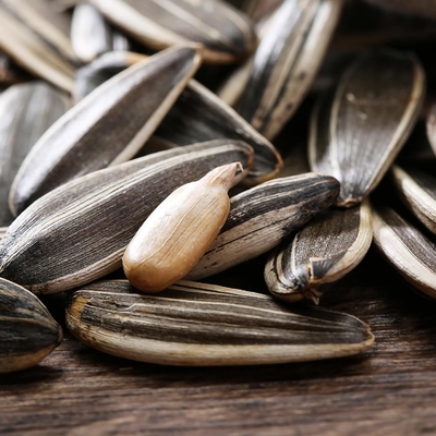 Sonnenblumenkerne T6 - Der perfekte Snack für die Kundenzufriedenheit