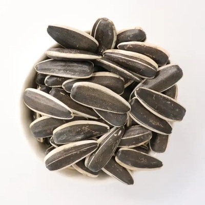Sonnenblumenkerne in der Schale Sonnenblumenkerne 5009 Getrocknete rohen Sonnenblumenkerne zum Verkauf