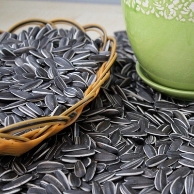 Sonnenblumenkerne 5009 Der perfekte Snack für die Kundenbedürfnisse