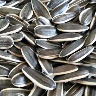 Scharfes Geschmack, geröstete Sonnenblumenkerne 5009 Muss haben, nahrhaftes Snack