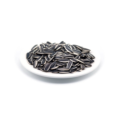 Sonnenblumenkerne T5 Die geheime Zutat für köstliche Snacks