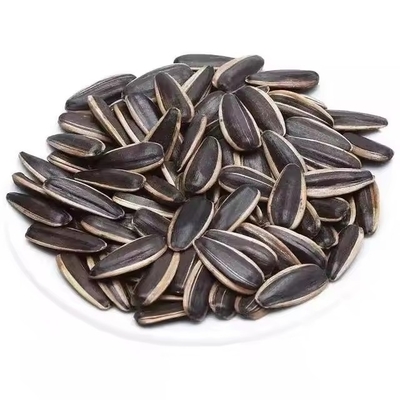T6 Sonnenblumenkerne - ein leckeres und gesundes Snack für geschäftige B2B-Fachleute unterwegs