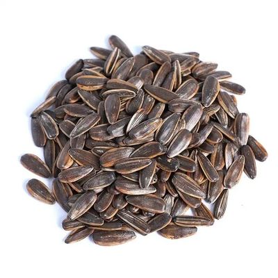 Einzelhandel mit gesunden Snacks Sonnenblumenkerne