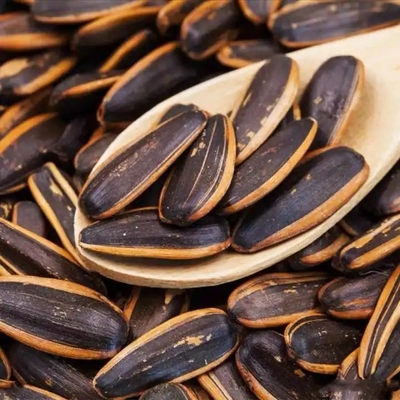 Snacks Fabrik Prozess Karamellgeschmack Karamell gekocht gesalzen geröstet Sonnenblumenkerne