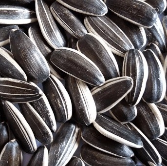 Die Anforderungen der Kunden mit Sunshine Grove Kernels effizient erfüllen