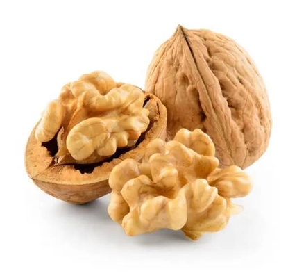 China Neue Ernte Warmverkauf in der Türkei aus China Walnüsse Kernel Halves Papier Schale Walnuss