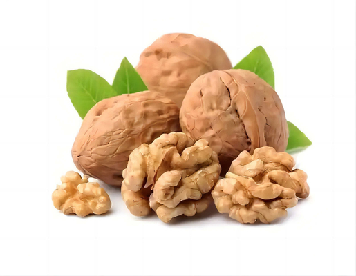 Großhandelspapier Schalen Walnusskerne In Schalen Natürliche Farbe XinFu Kernel Xinjiang Trockenfrüchte