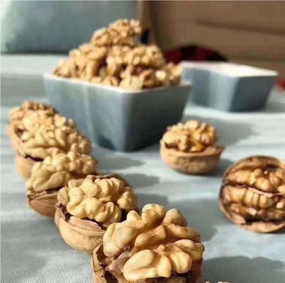 Aktualisieren Sie Ihre Produktlinie mit Walnut Kernel Xin 2 in großen Mengen