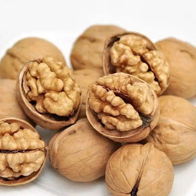 Aktualisieren Sie Ihre Produktlinie mit Walnut Kernel Xin 2