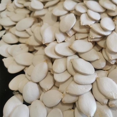 Biologische, rosafarbene Weißschnee-Kürbiskerne für gesunde Snacks